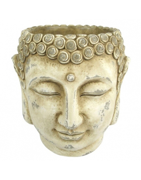 MACETERO CABEZA BUDHA