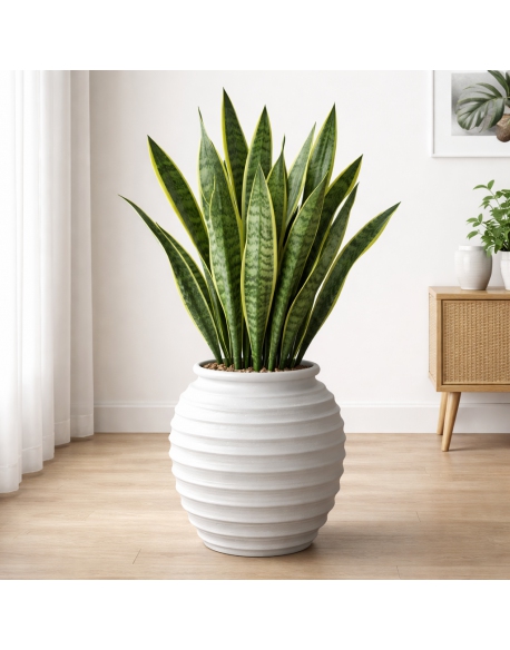Imagen AMBIENTE