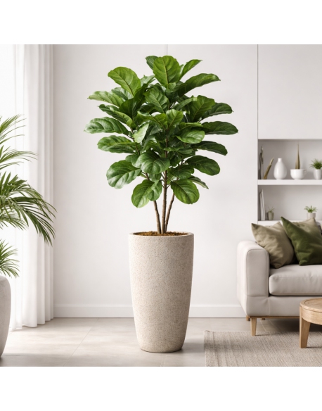 Imagen AMBIENTE