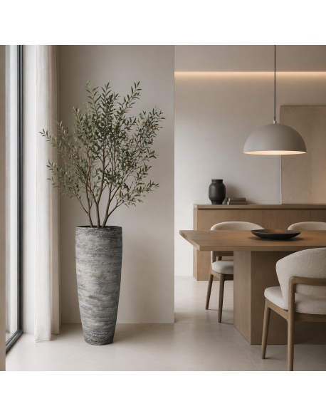 Imagen AMBIENTE