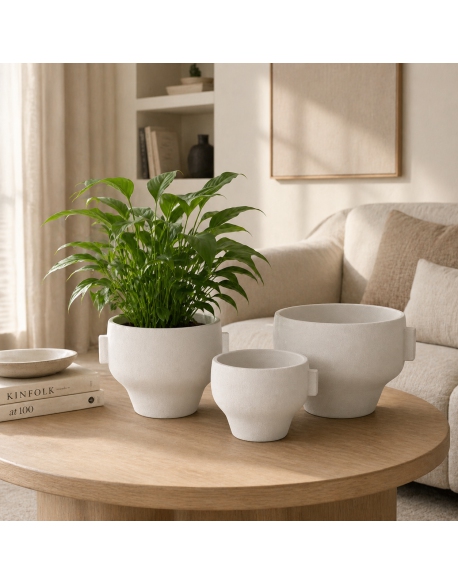 Imagen AMBIENTE
