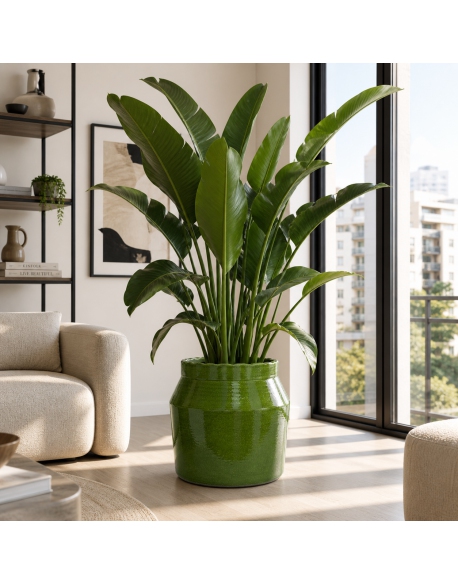 Imagen AMBIENTE