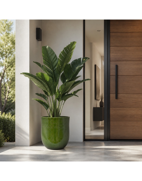 Imagen AMBIENTE