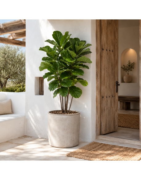 Imagen AMBIENTE