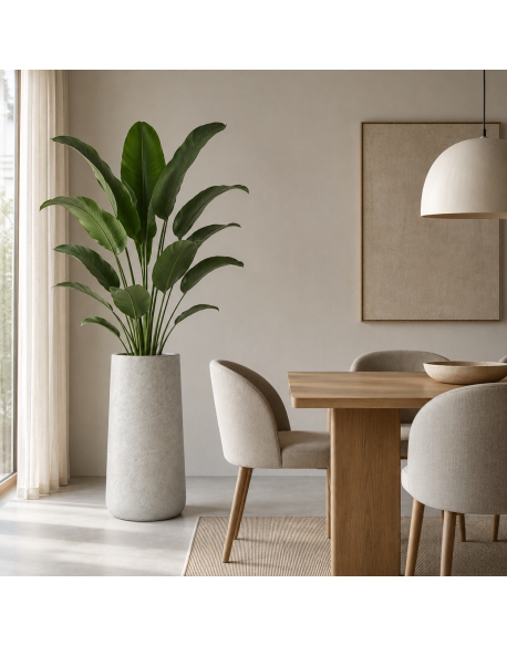 Imagen AMBIENTE