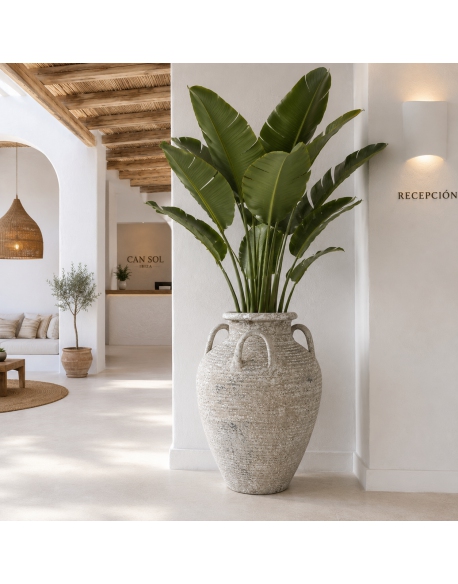 Imagen AMBIENTE