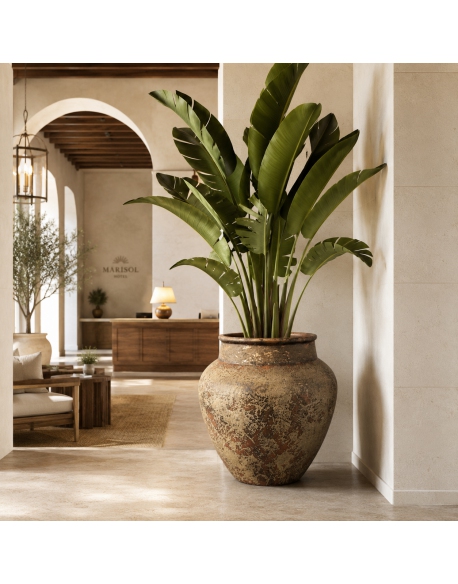 Imagen AMBIENTE