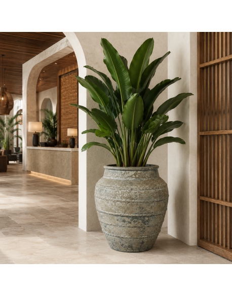 Imagen AMBIENTE