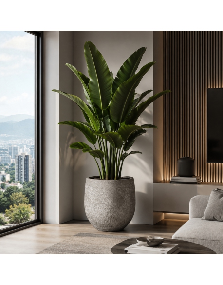 Imagen AMBIENTE