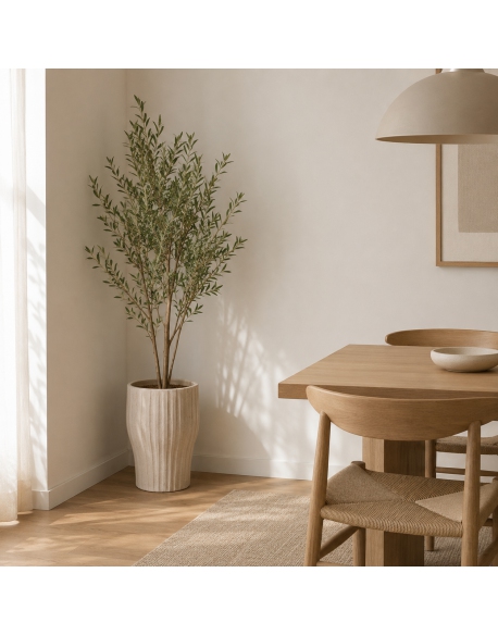 Imagen AMBIENTE