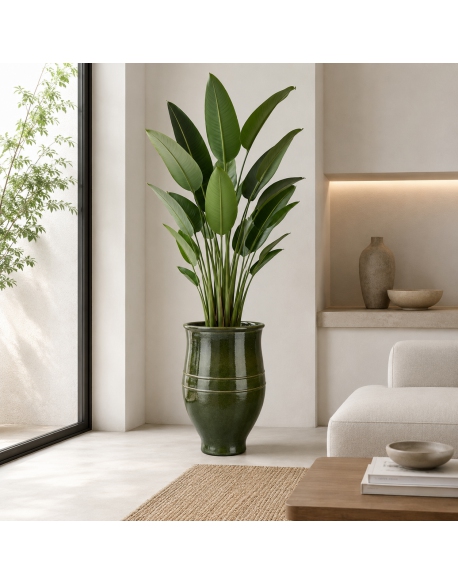 Imagen AMBIENTE