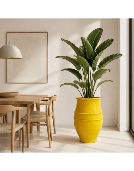 Imagen AMBIENTE
