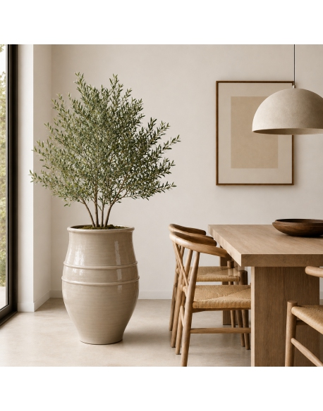 Imagen AMBIENTE