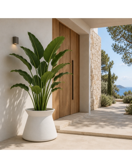 Imagen AMBIENTE