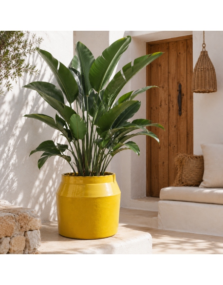 Imagen AMBIENTE