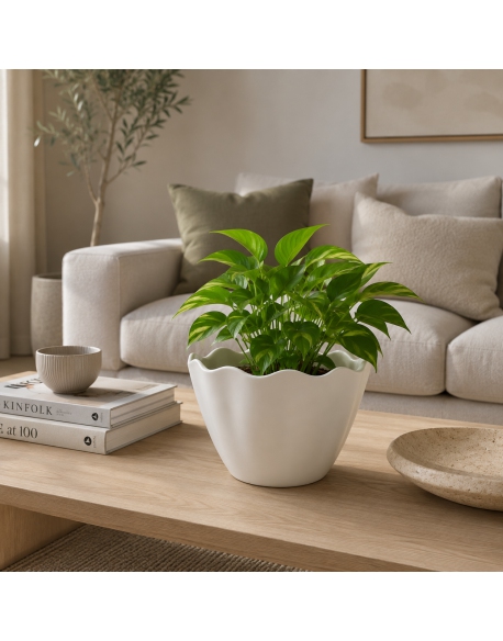 Imagen AMBIENTE
