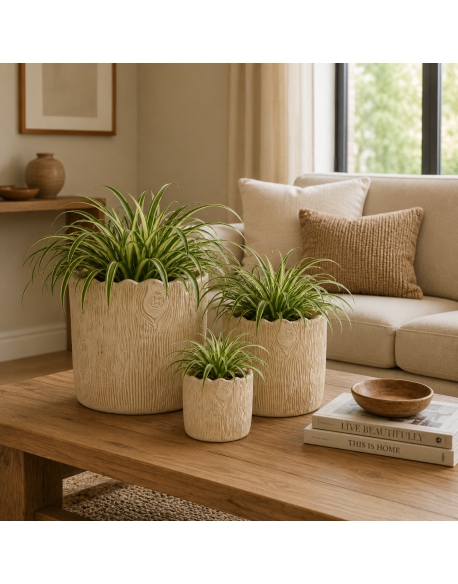 Imagen AMBIENTE