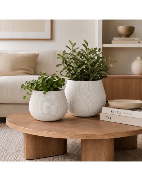 Imagen AMBIENTE
