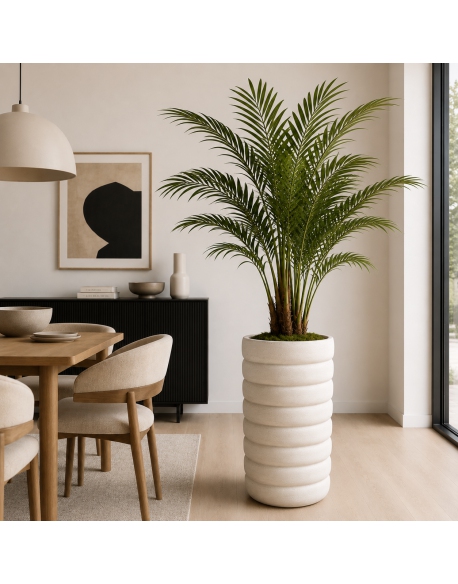 Imagen AMBIENTE