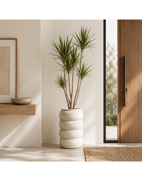Imagen AMBIENTE