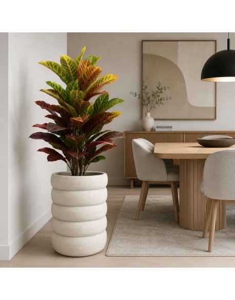 Imagen AMBIENTE