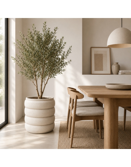 Imagen AMBIENTE