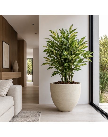 Imagen AMBIENTE