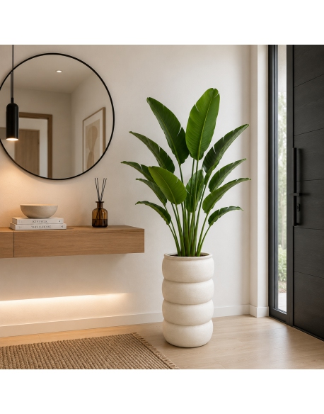 Imagen AMBIENTE