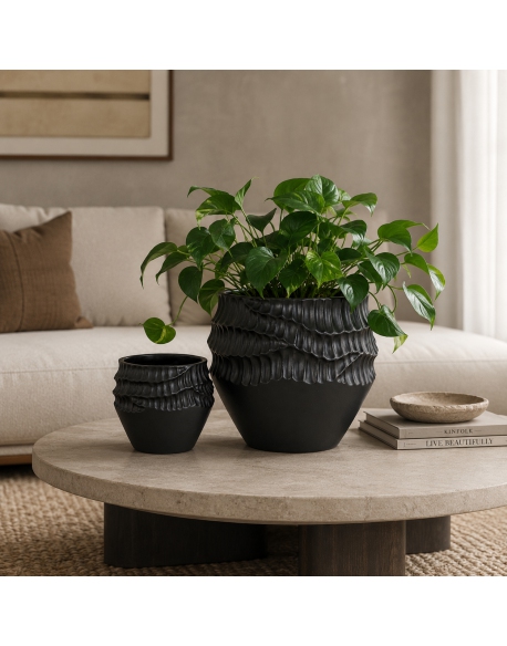 Imagen AMBIENTE