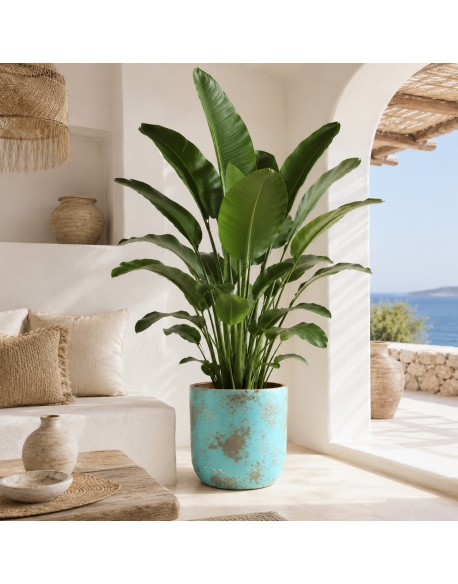 Imagen AMBIENTE