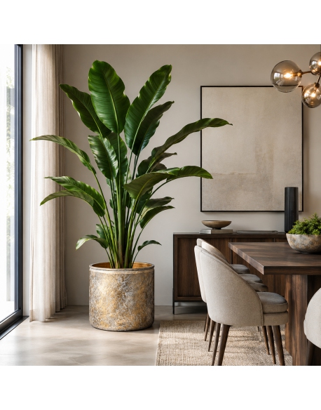 Imagen AMBIENTE