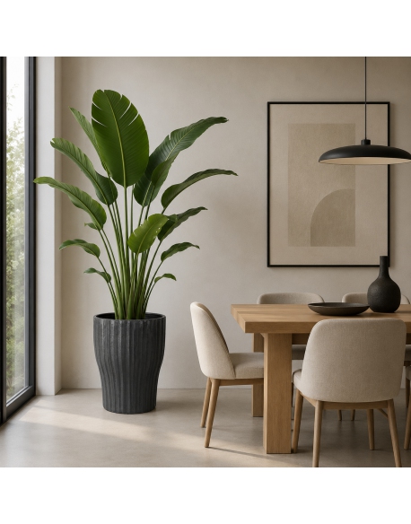 Imagen AMBIENTE