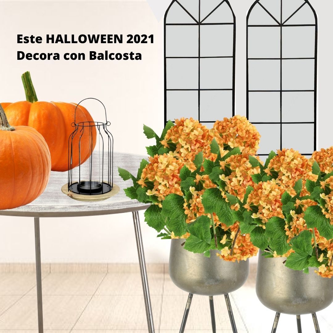 Este HALLOWEEEN 2021 decora con Balcosta!